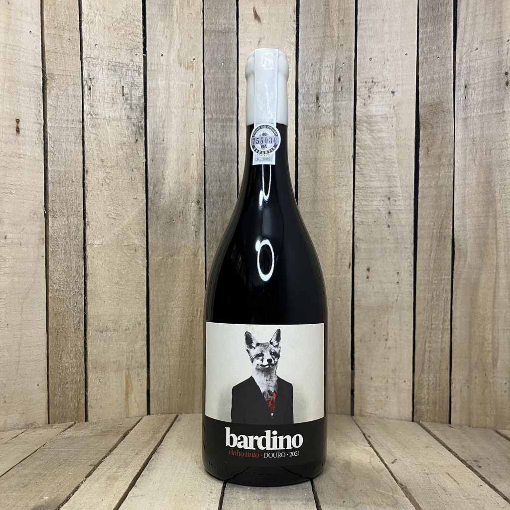 João M. Soares Pires - Bardino 2021