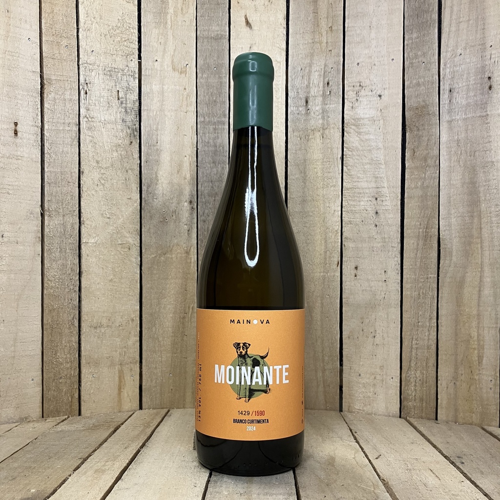 Mainova - Moinante Curtimenta 2024